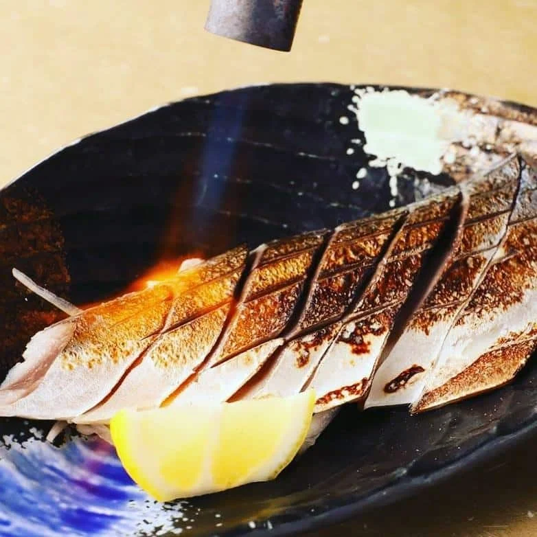 石巻ブランド 金華〆鯖の炙り！脂のノリ方がすごいんです！！！