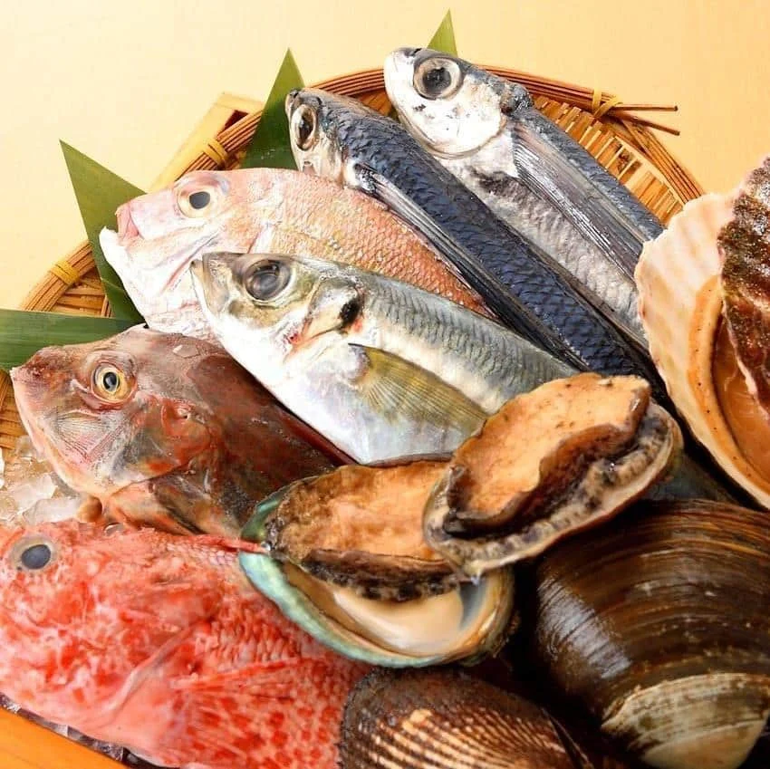 鮮度抜群！品川で刺身・魚料理・日本酒を楽しむなら跳魚へ！！