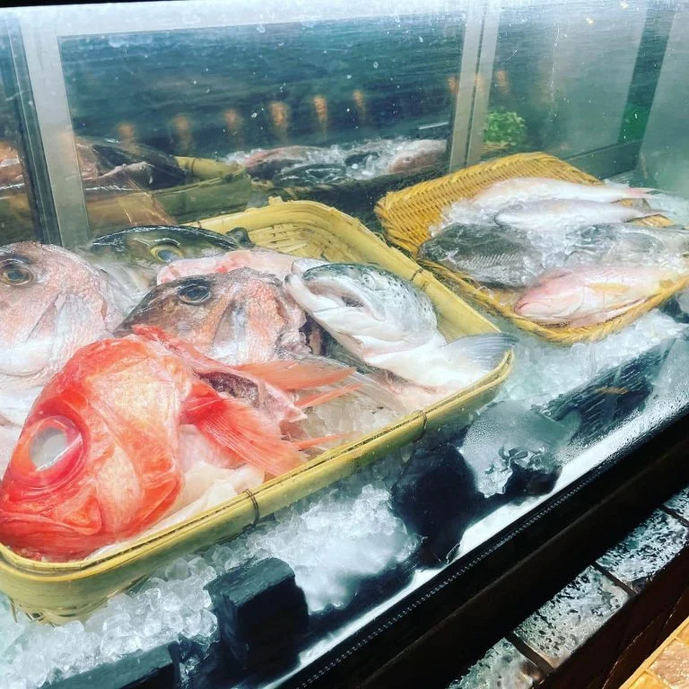 本日も16時から営業致します！鮮度抜群の鮮魚とテイクアウトも…