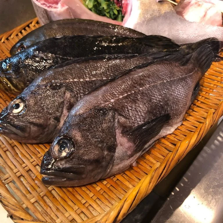 品川跳魚　本日のおすすめ一本魚　【真ソイ】