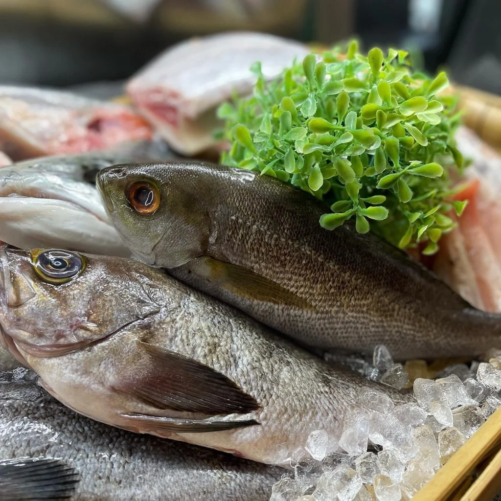 本日のおすすめ魚は『長崎 伊佐木』です!塩焼き絶品!!