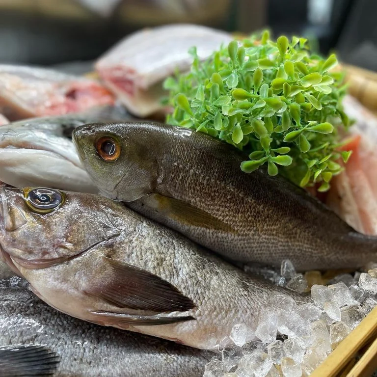 本日のおすすめ魚は『長崎　伊佐木』です！塩焼き絶品！！