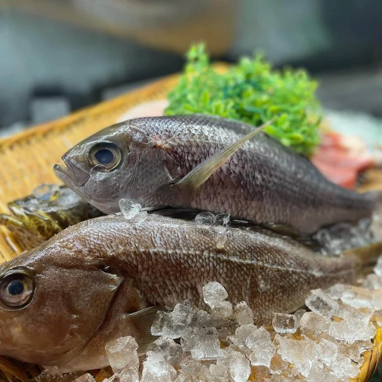 本日も豊洲直送鮮魚盛りだくさん！品川で鮮魚食べるなら跳魚へ！
