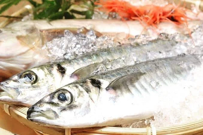 跳魚品川店の豆知識コーナー