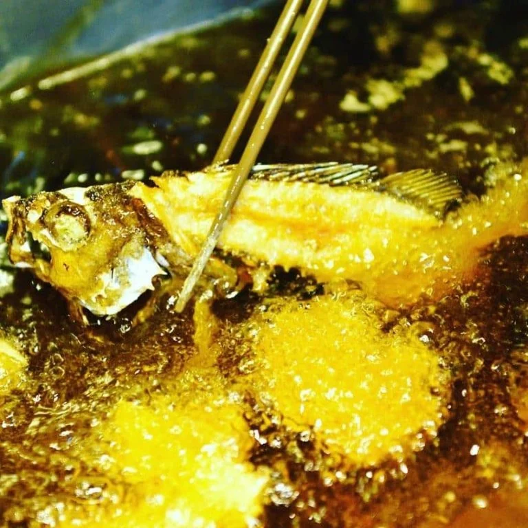 魚も投稿もあげちゃおうー！