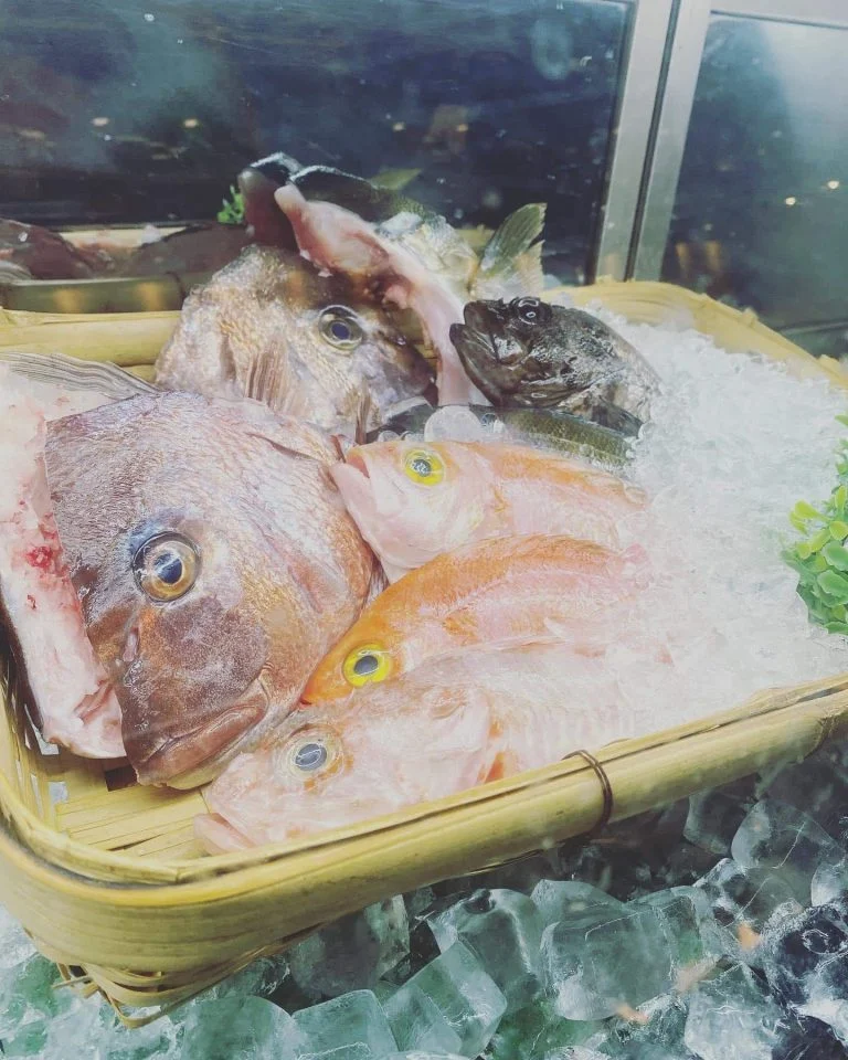 晩御飯、魚を品川で！