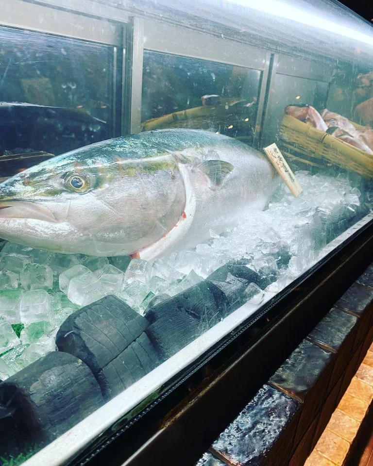 鰤、食べるなら跳魚品川店！