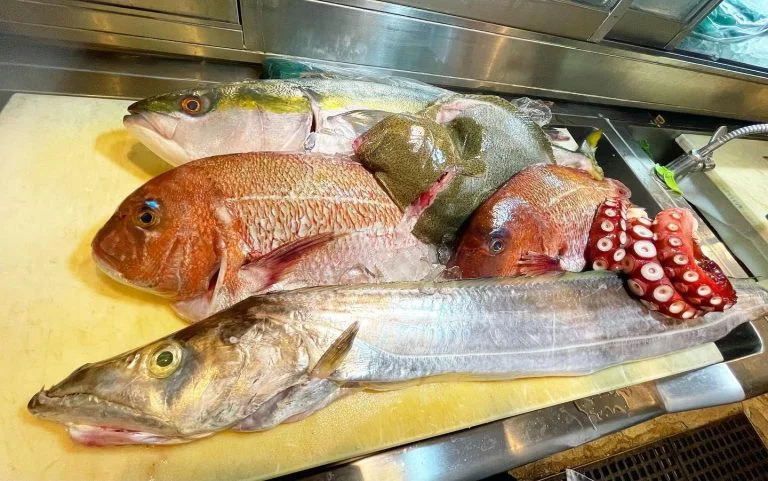 魚が食べたい🐟