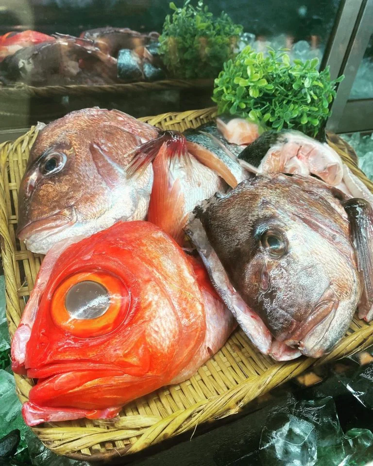 鮮魚、個室、空いてます。@/品川/鮮魚/居酒屋