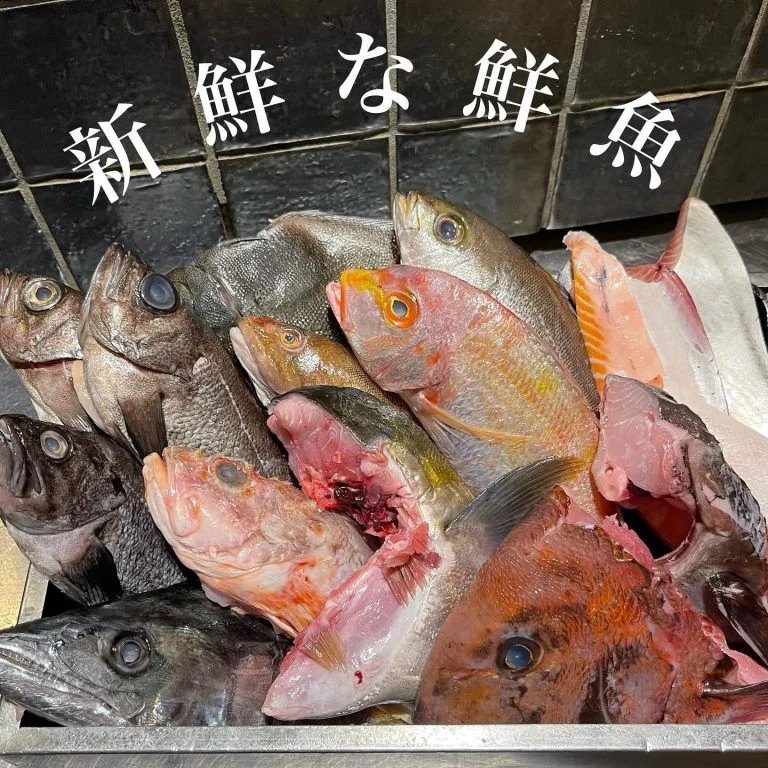 毎日新鮮な鮮魚あります🐟@/品川/鮮魚/居酒屋