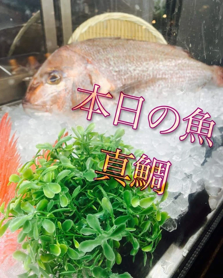 4/9まだ僅かに席あります!@/品川/鮮魚/居酒屋