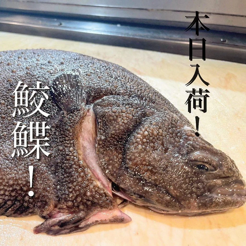 鮫鰈入荷！空き席ラスト1つ！@/品川/鮮魚/居酒屋