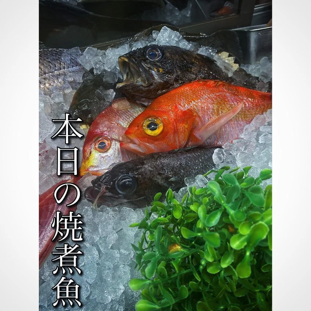 本日の焼煮魚@/品川/鮮魚/居酒屋