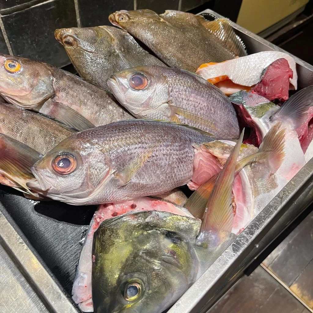 新鮮な鮮魚🐟@/品川/鮮魚/居酒屋