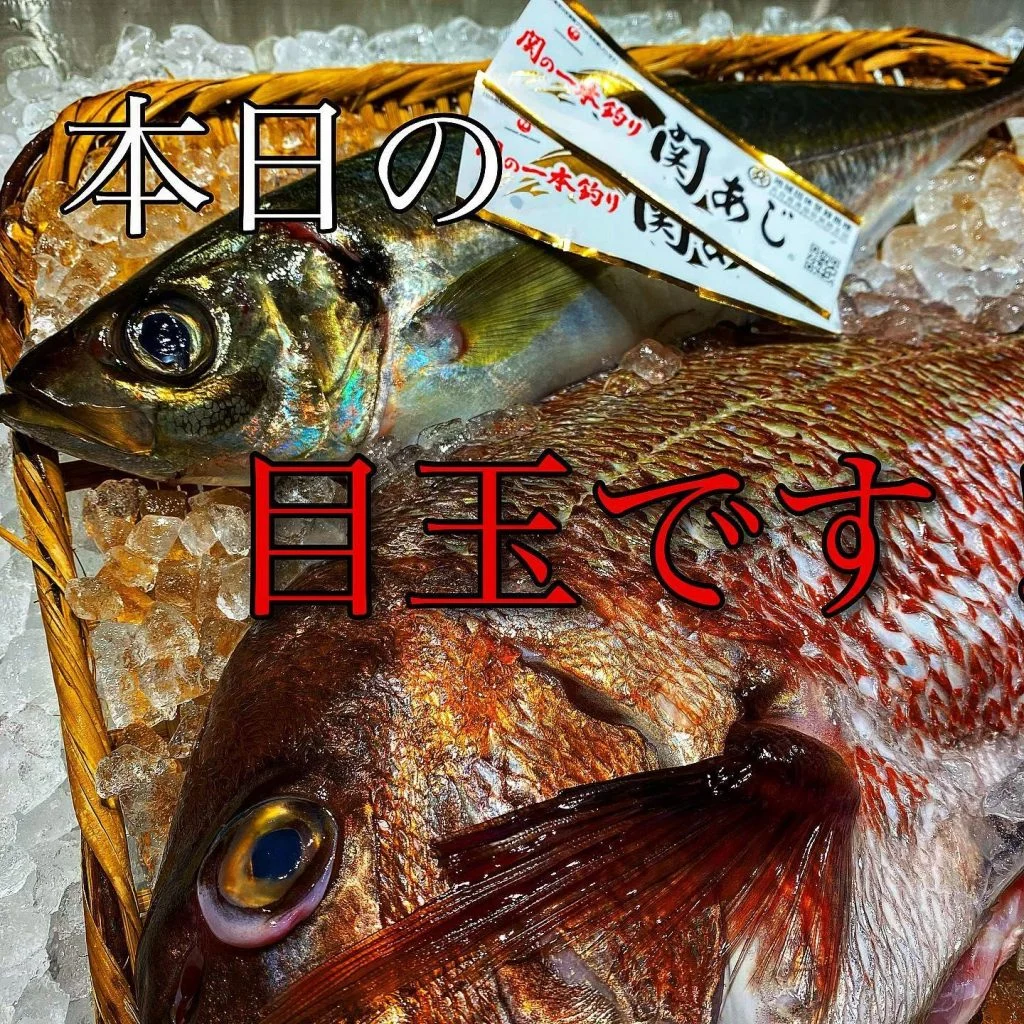 特約店関アジ入荷しました！@/品川/鮮魚/居酒屋