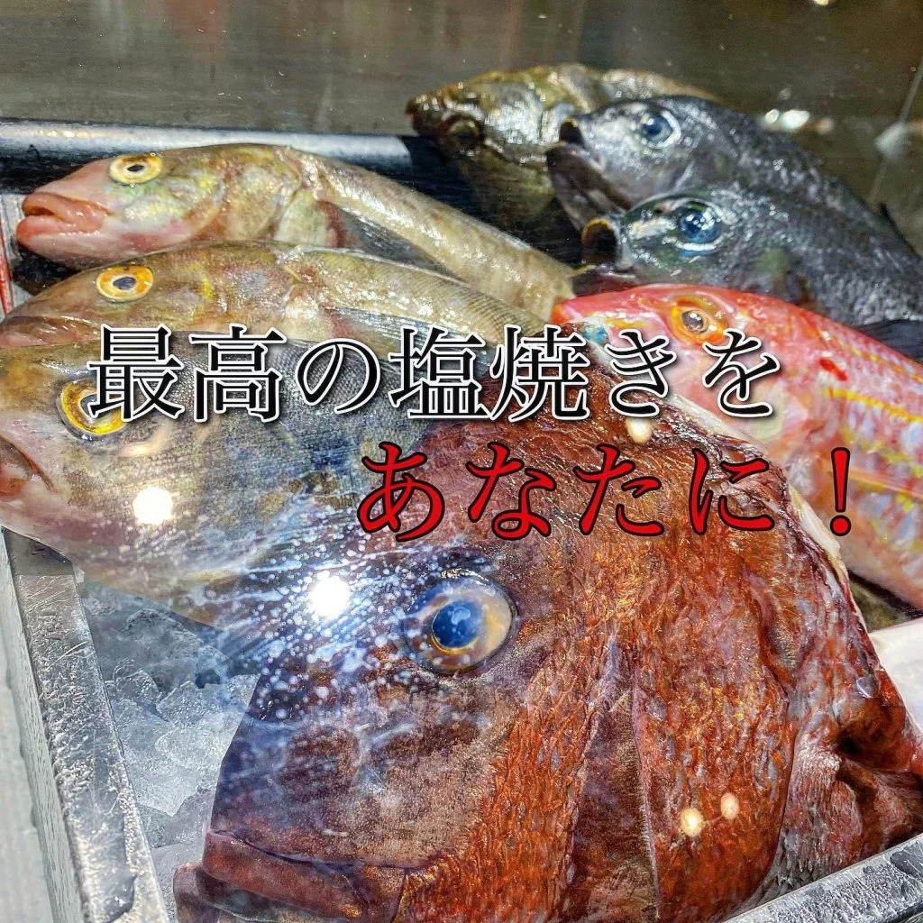 最高の塩焼きをあなたに、@/品川/鮮魚/居酒屋