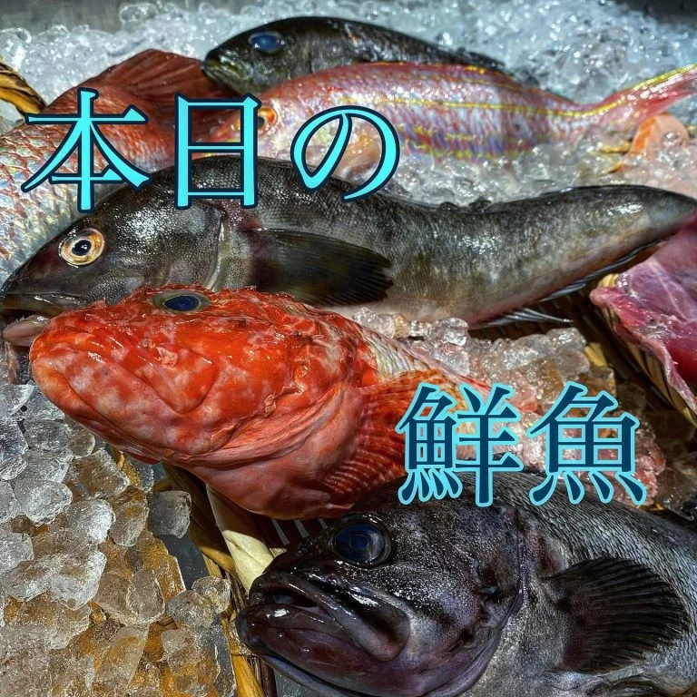華金、本日の鮮魚!@/品川/鮮魚/居酒屋