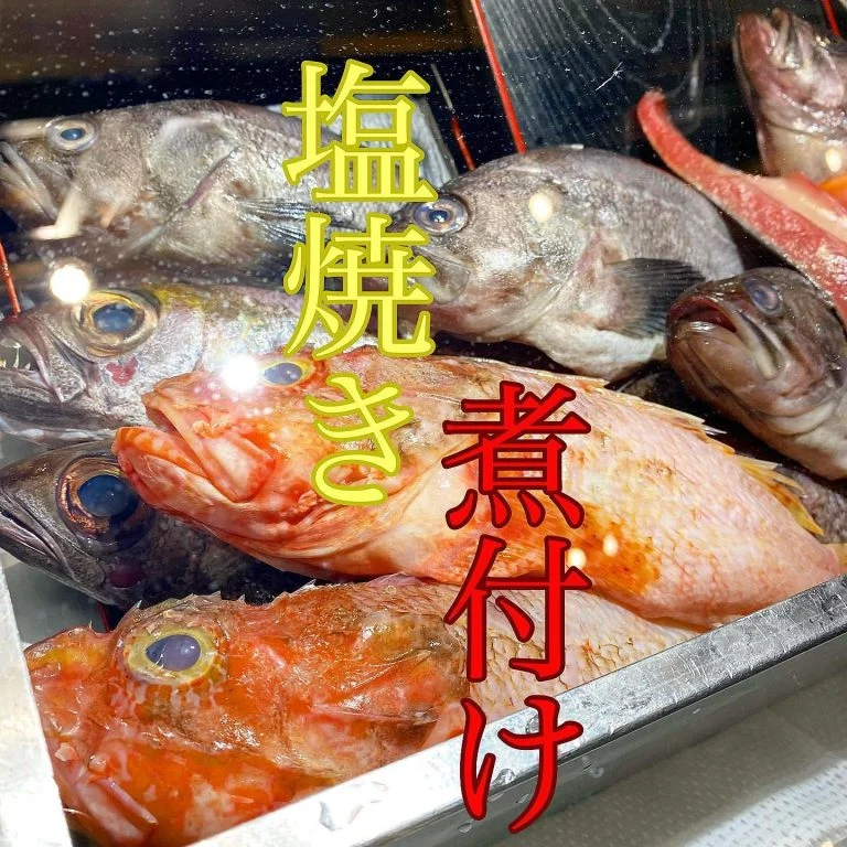 本日日曜日の美味しい魚@/品川/鮮魚/居酒屋