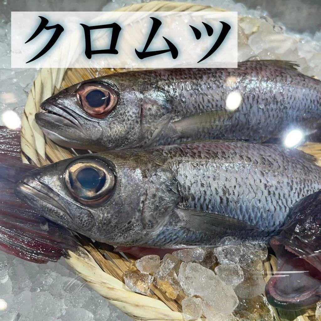 クロムツ塩焼き@/品川/鮮魚/居酒屋