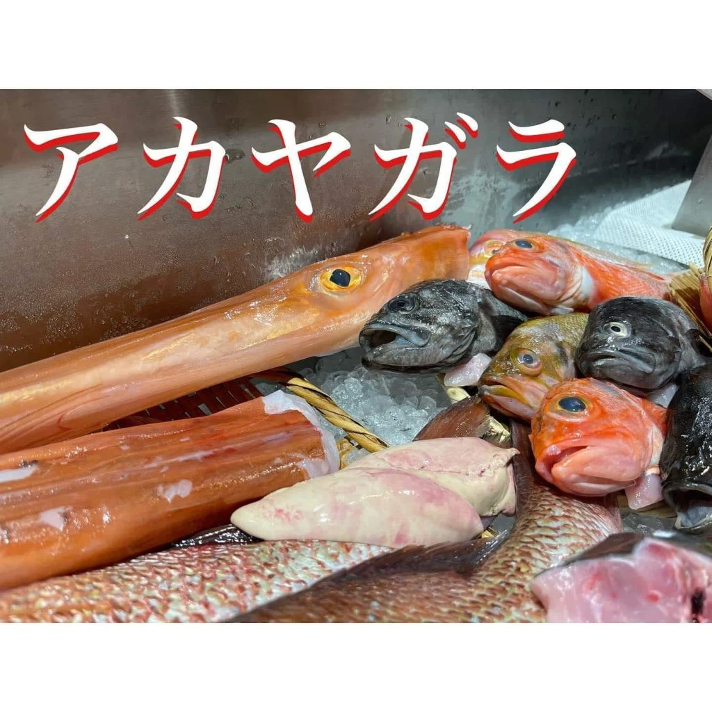 アカヤガラ@/品川/鮮魚/居酒屋