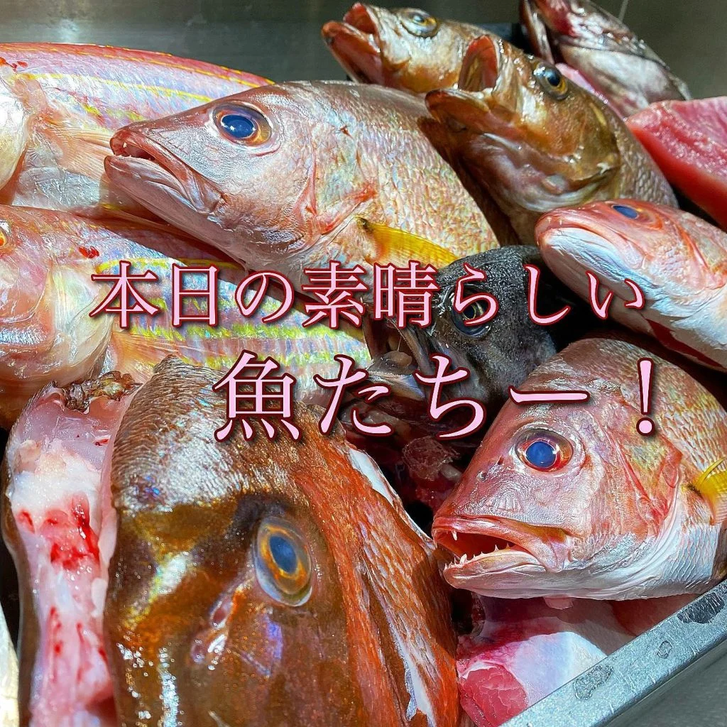 最高の魚たち是非一眼に！@/品川/鮮魚/居酒屋