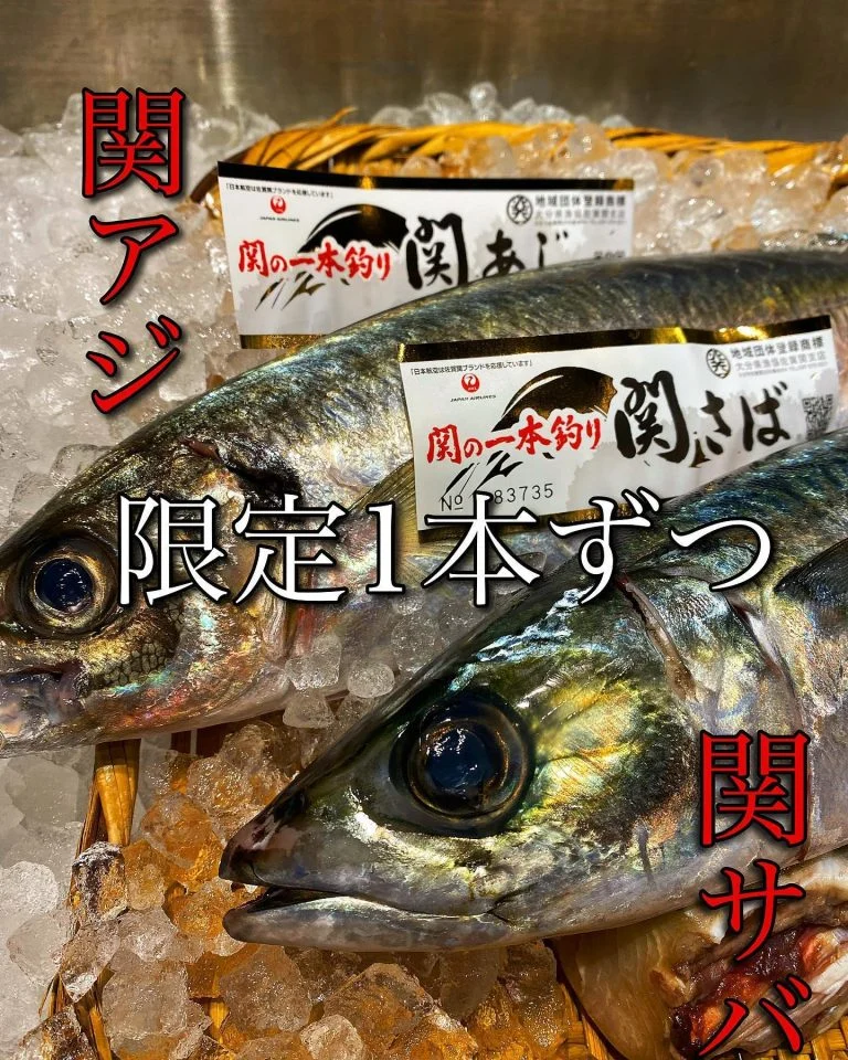 関サバ関アジ1本限定入荷!@/品川/鮮魚/居酒屋