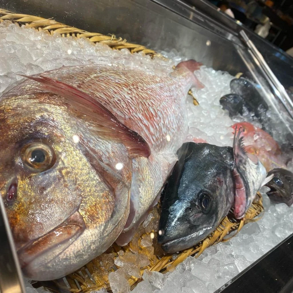 本日の魚、主役級です!@/品川/鮮魚/居酒屋