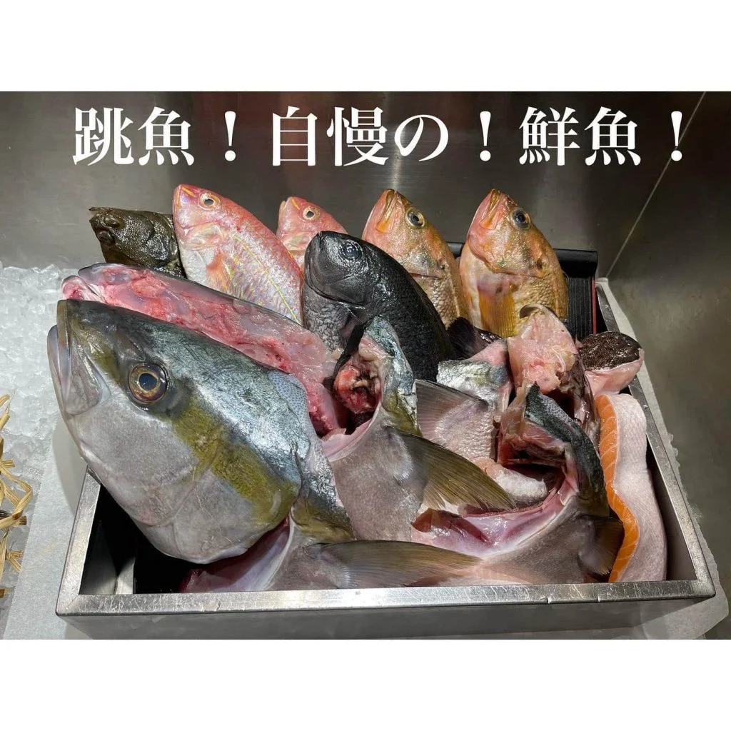跳魚自慢の鮮魚!@/品川/鮮魚/居酒屋