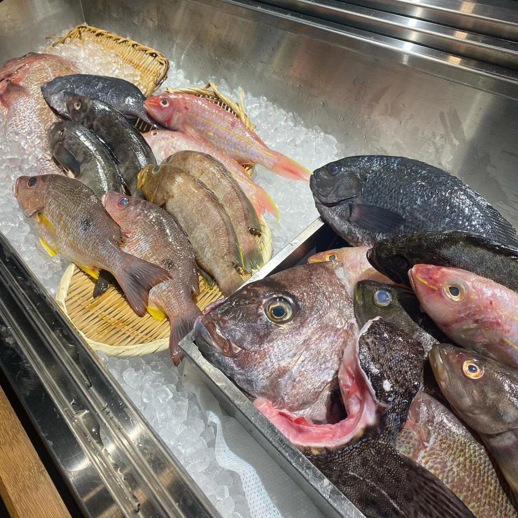 自慢のお魚たちー!@/品川/鮮魚/居酒屋