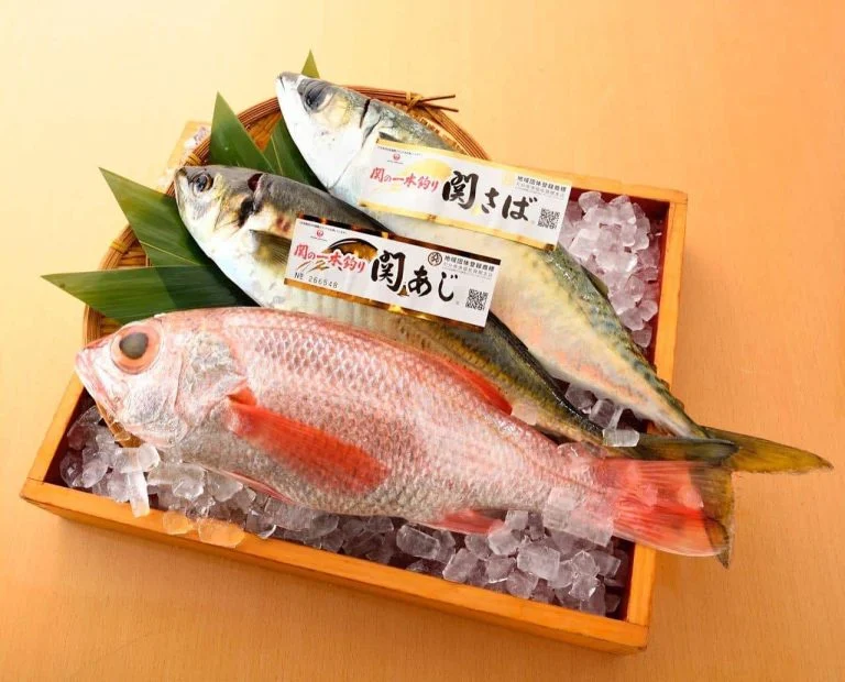 魚を食べるなら！跳魚！@/品川/鮮魚/居酒屋