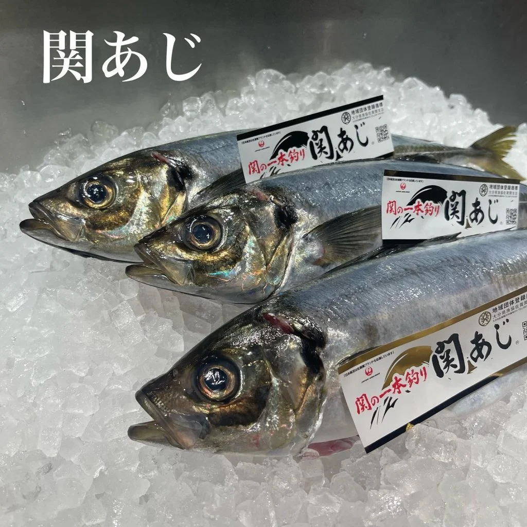 関あじ入荷！@/品川/鮮魚/居酒屋