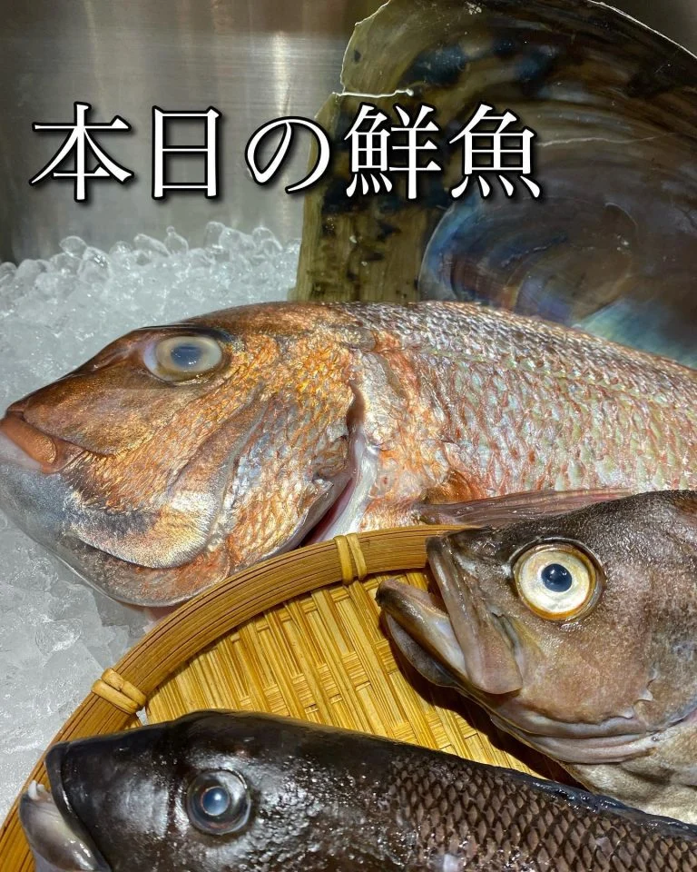 カンダイ@/品川/鮮魚/居酒屋