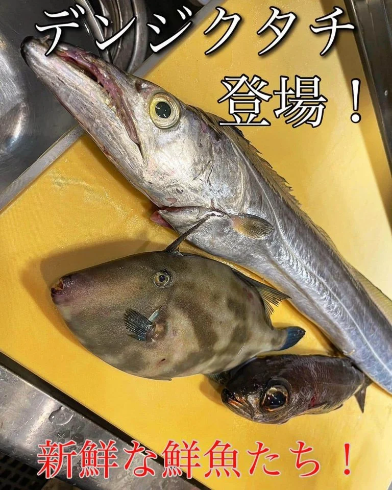 @/品川/鮮魚/居酒屋