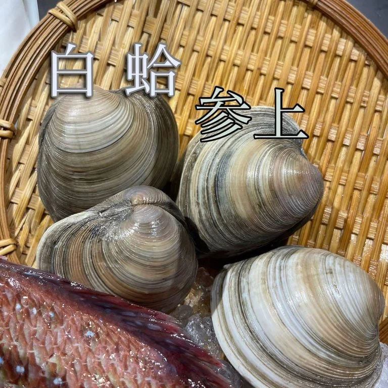 白蛤参上！@/品川/鮮魚/居酒屋