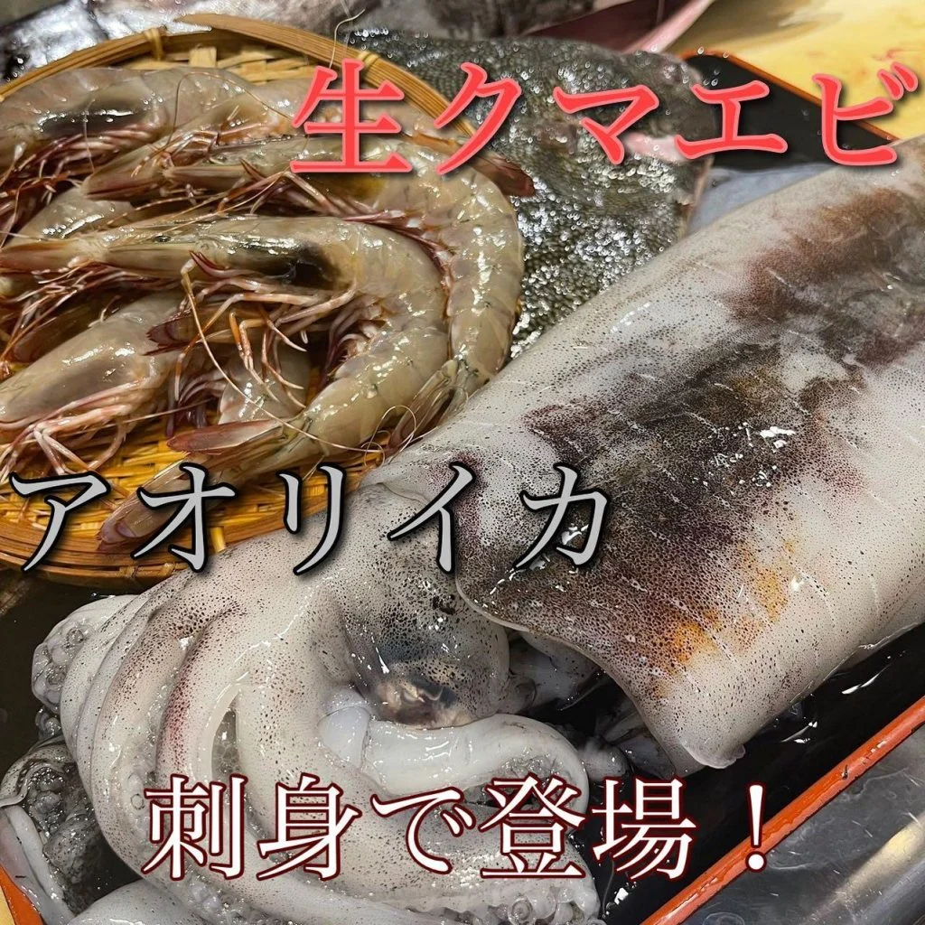 生クマエビ、アオリイカ登場！@/品川/鮮魚/居酒屋