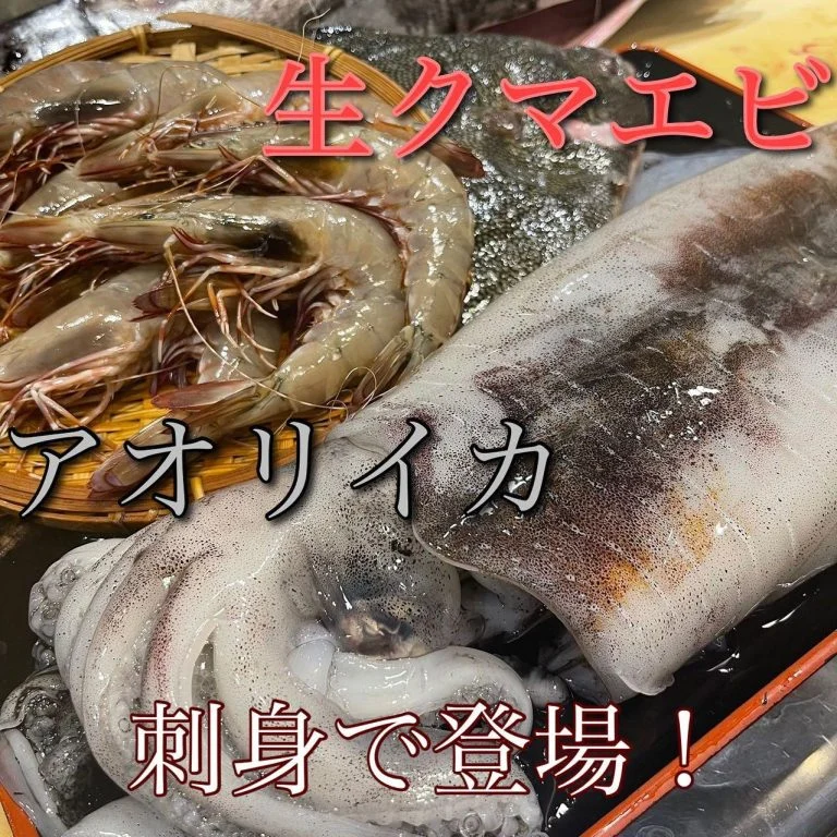 生クマエビ、アオリイカ登場！@/品川/鮮魚/居酒屋