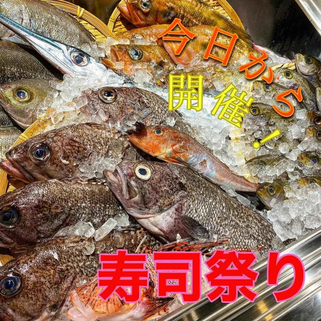 寿司祭り今日から開催@/品川/鮮魚/居酒屋