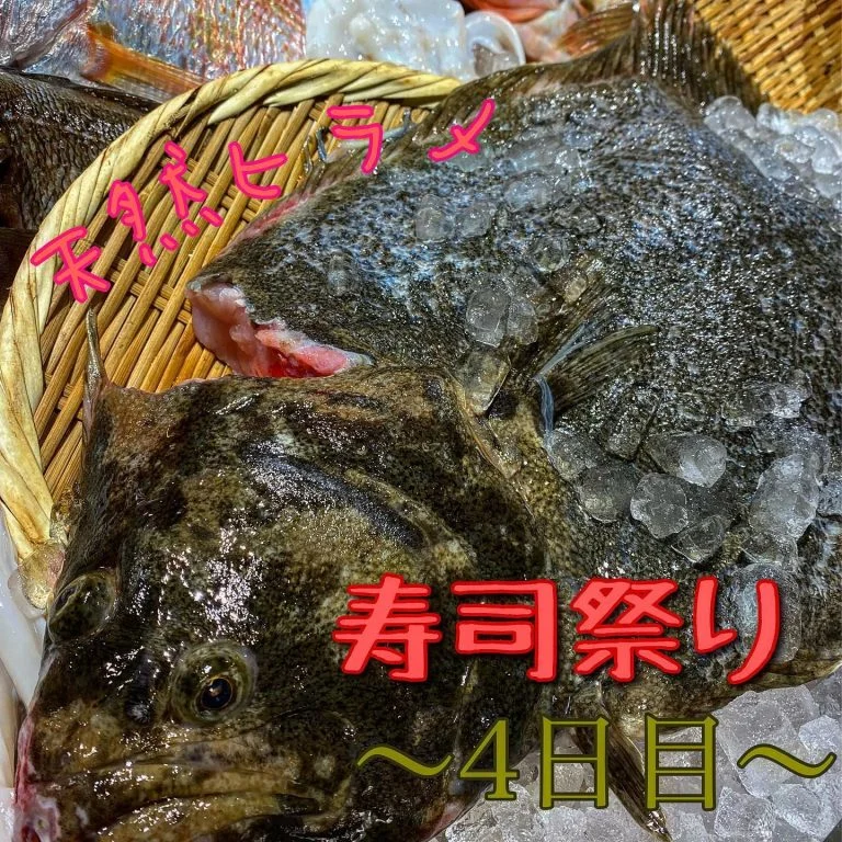 寿司祭り4日目、天然ヒラメ@/品川/鮮魚/居酒屋