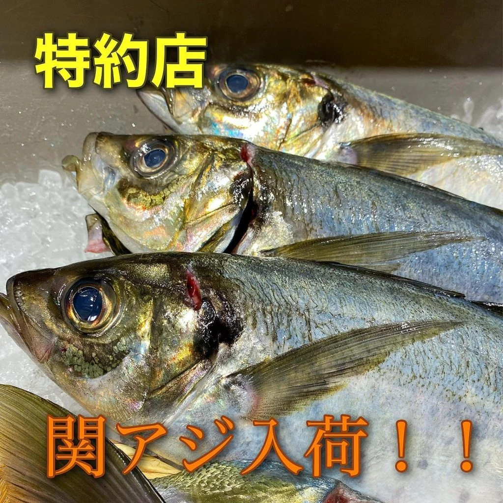 特約店関アジ入荷@/品川/鮮魚/居酒屋