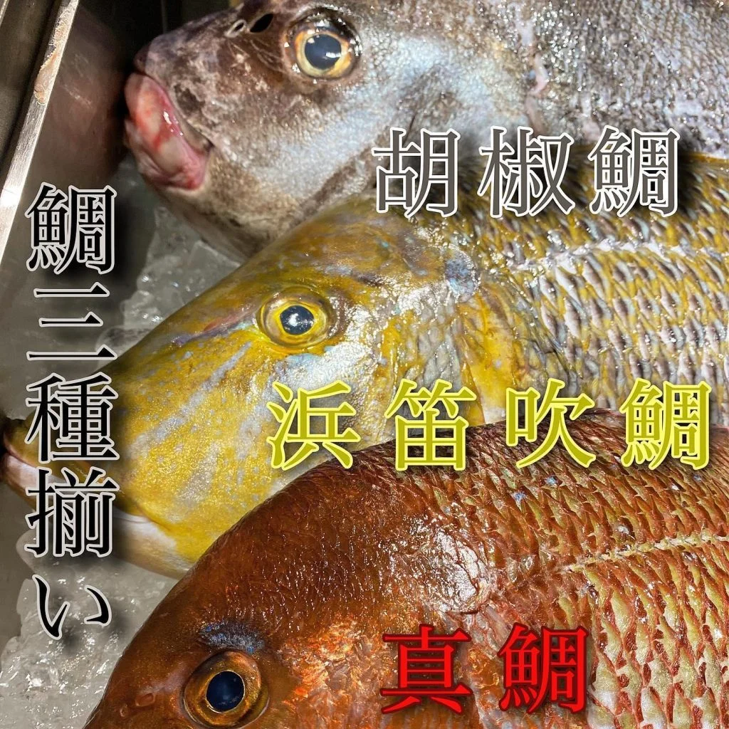 鯛3種揃い@/品川/鮮魚/居酒屋