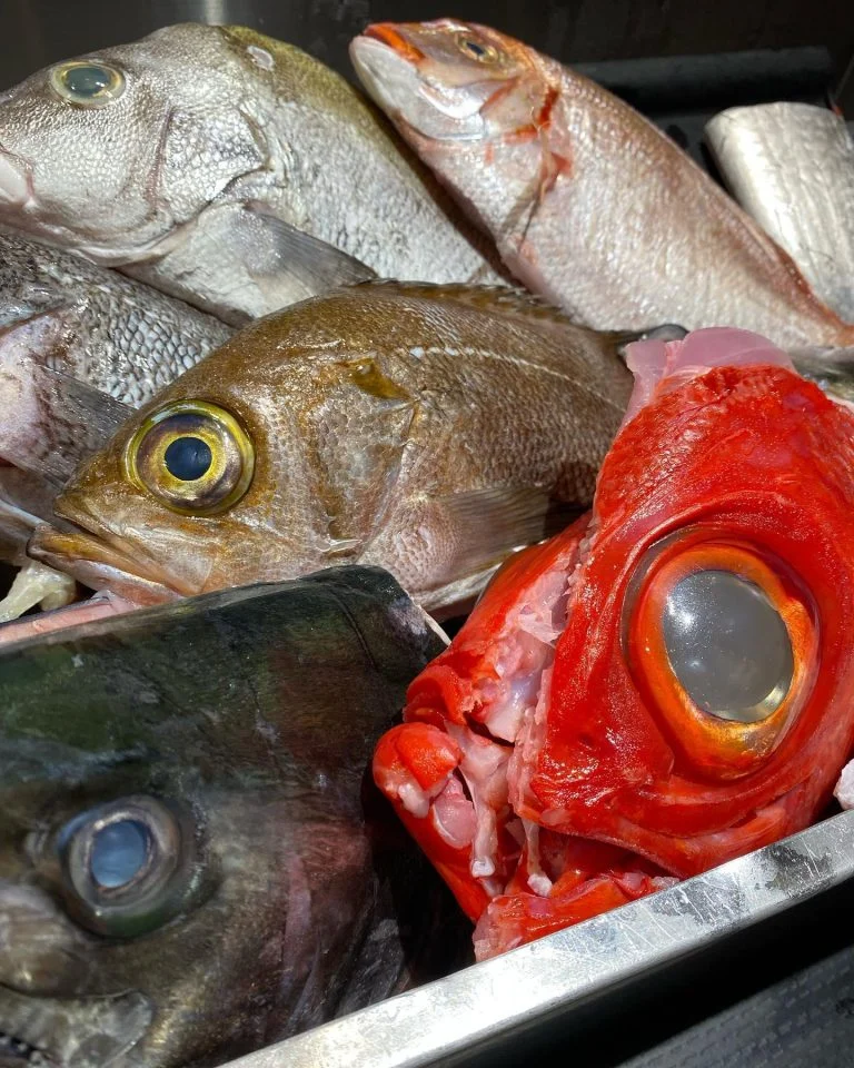 目玉料理、金目鯛の煮付け@/品川/鮮魚/居酒屋