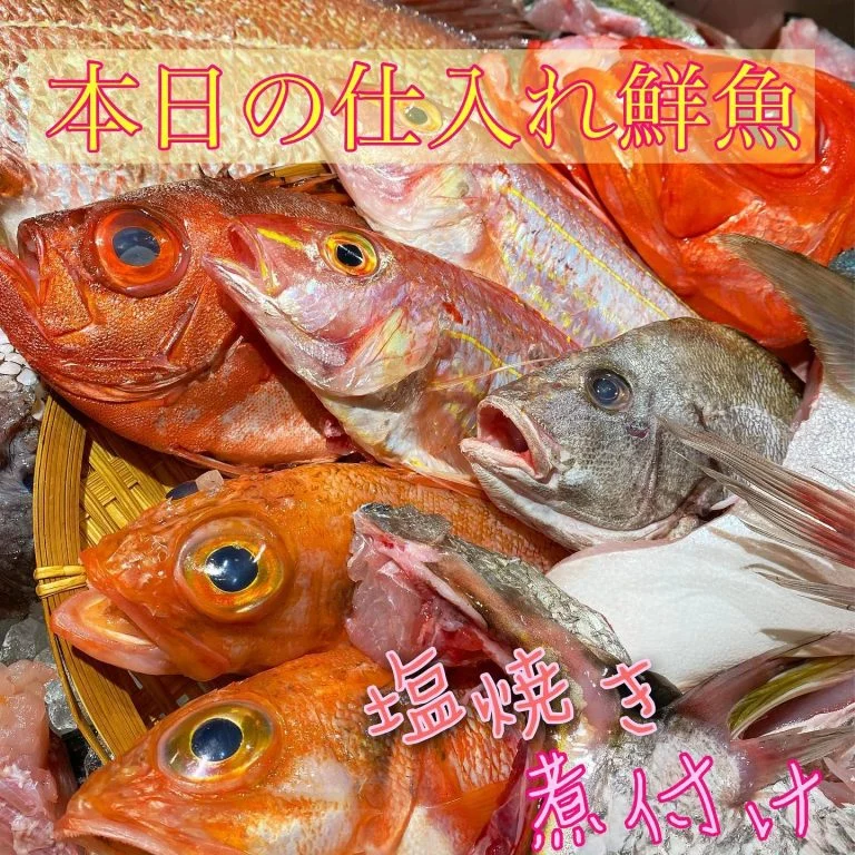 たっぷり鮮魚全部観て！@/品川/鮮魚/居酒屋