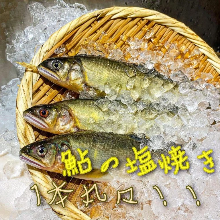 鮎1本丸焼き@/品川/鮮魚/居酒屋