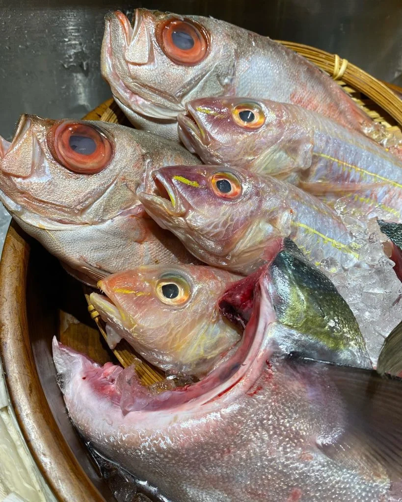 本日の鮮魚@/品川/鮮魚/居酒屋