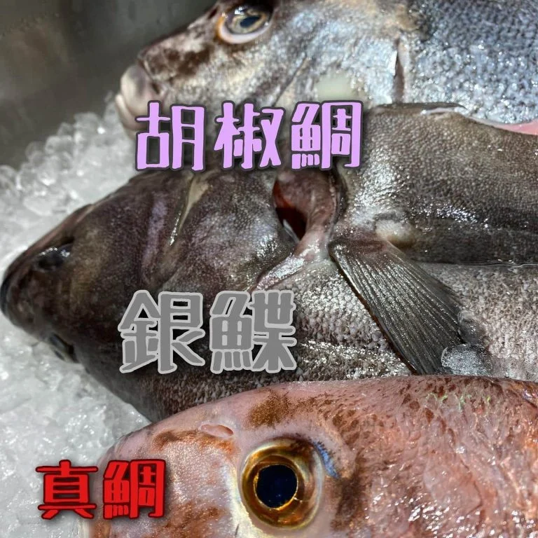 鮮魚盛り沢山！！@/品川/鮮魚/居酒屋