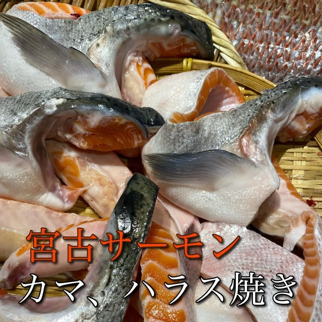 宮古トラウトサーモン@/品川/鮮魚/居酒屋