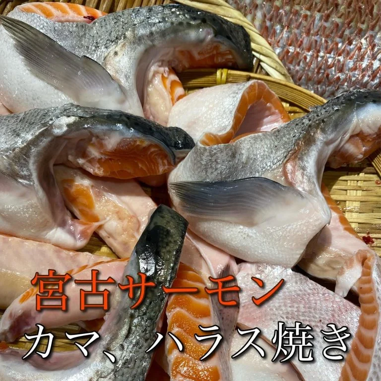 宮古トラウトサーモン@/品川/鮮魚/居酒屋