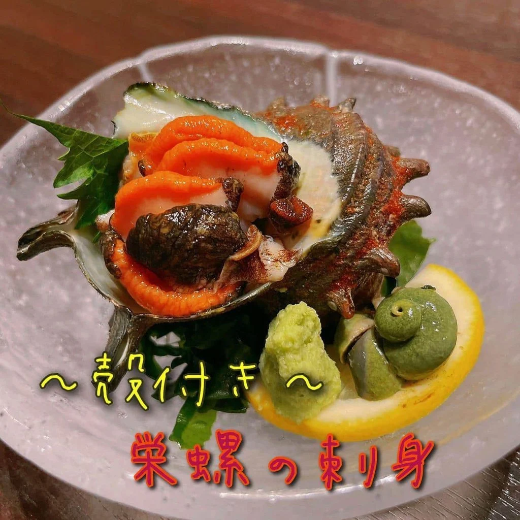 殻付き栄螺の刺身@/品川/鮮魚/居酒屋