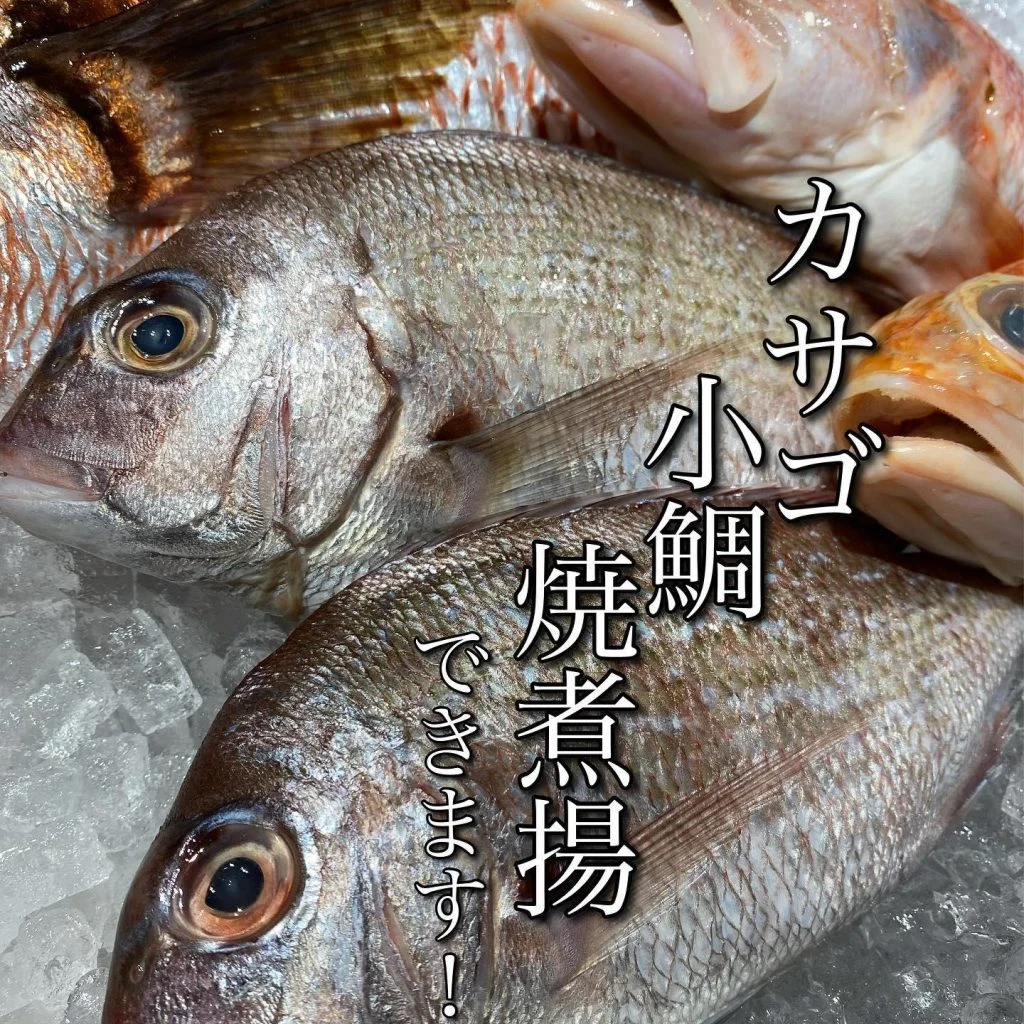 本日の鮮魚@/品川/鮮魚/@/品川/鮮魚/居酒屋