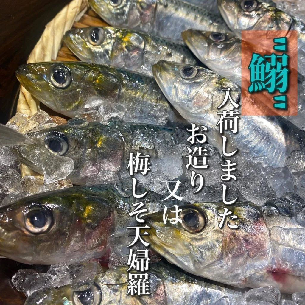 鰯のお造り、天婦羅@/品川/鮮魚/居酒屋